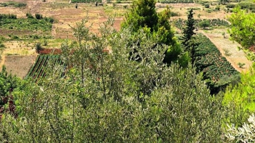 Building land 762 m2, peaceful location, close to the sea - Dubrovnik Islands